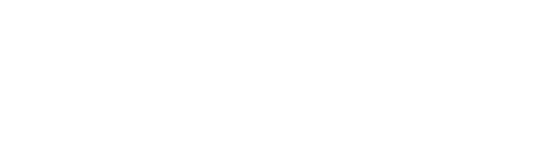 Logo.blanco-2-BHP